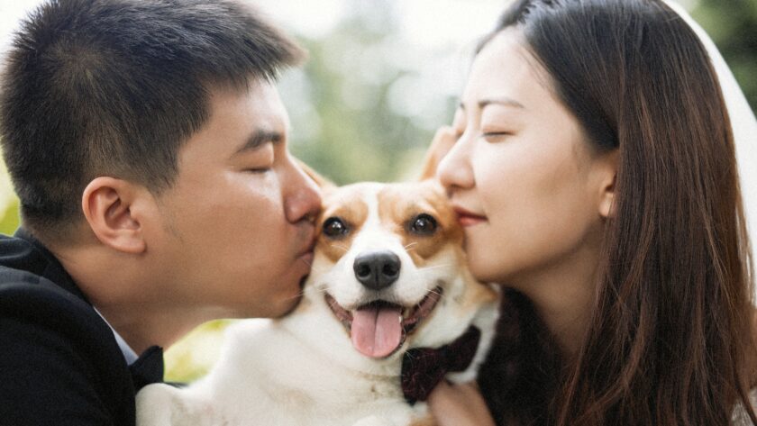 Pet owners kissing their pet